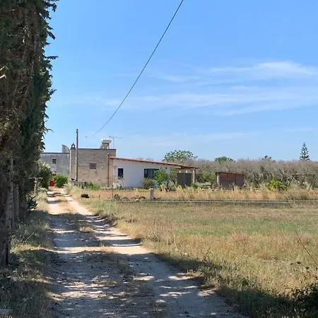N'celi