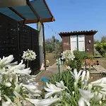 N'celi * 乌瓜诺拉基耶萨