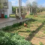 N'celi 公寓 乌瓜诺拉基耶萨